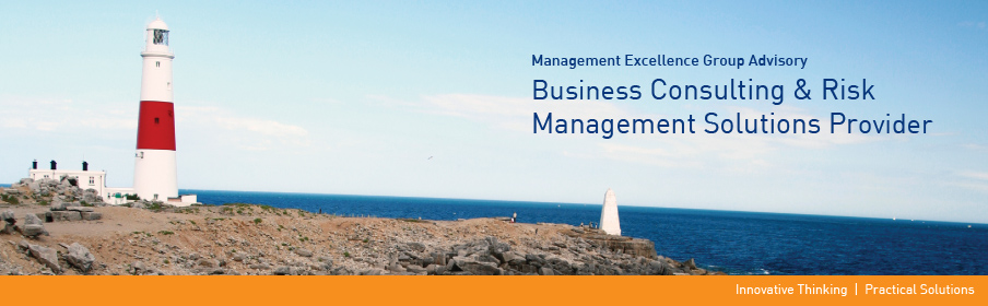 Management Excellence Group Advisory Business Consulting & Risk Management Solutions Provider